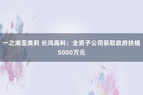 一之濑亚美莉 长鸿高科：全资子公司获取政府扶植5000万元