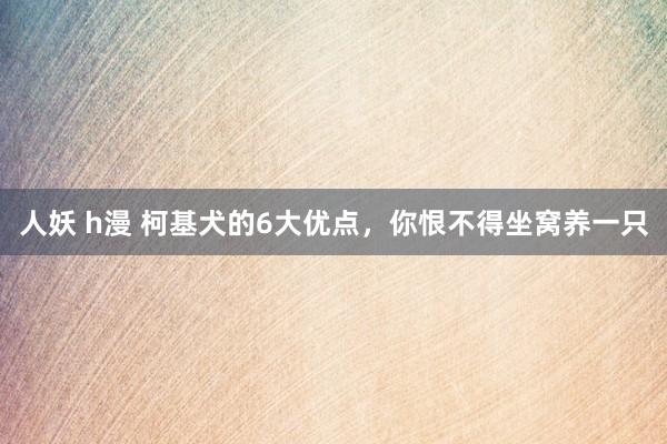 人妖 h漫 柯基犬的6大优点，你恨不得坐窝养一只