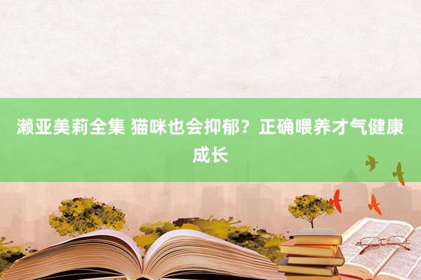 濑亚美莉全集 猫咪也会抑郁？正确喂养才气健康成长