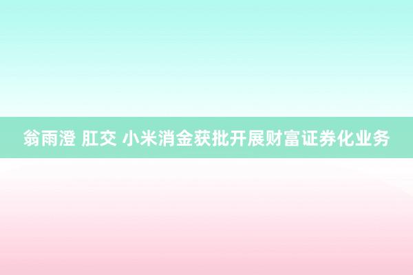 翁雨澄 肛交 小米消金获批开展财富证券化业务