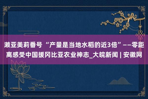 濑亚美莉番号 “产量是当地水稻的近3倍”——零距离感受中国援冈比亚农业神志_大皖新闻 | 安徽网