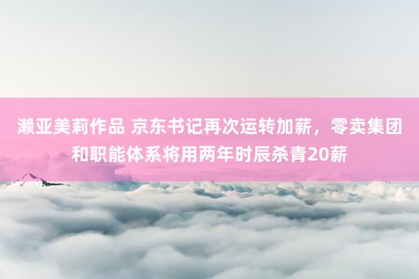 濑亚美莉作品 京东书记再次运转加薪，零卖集团和职能体系将用两年时辰杀青20薪