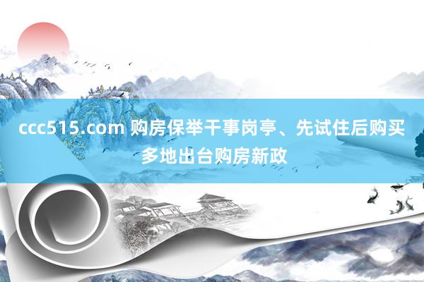 ccc515.com 购房保举干事岗亭、先试住后购买 多地出台购房新政