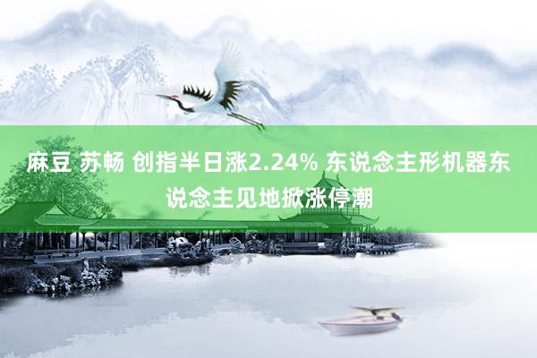 麻豆 苏畅 创指半日涨2.24% 东说念主形机器东说念主见地掀涨停潮