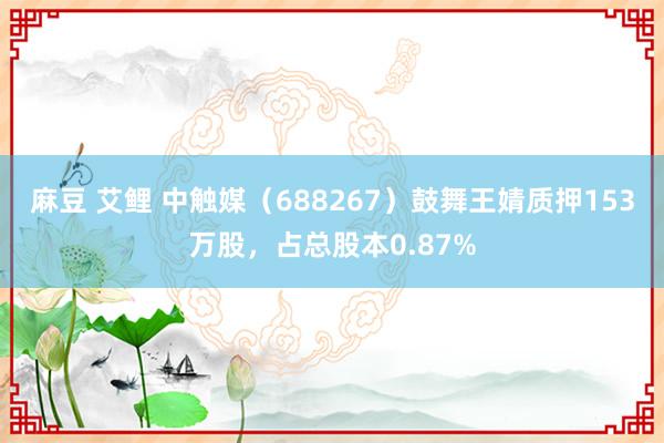 麻豆 艾鲤 中触媒（688267）鼓舞王婧质押153万股，占总股本0.87%