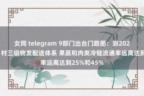 女同 telegram 9部门出台门路图：到2027年完善县乡村三级物发配送体系 果蔬和肉类冷链流通率远离达到25%和45%