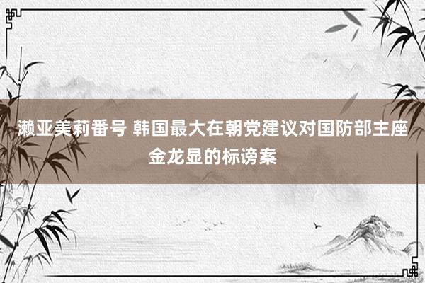 濑亚美莉番号 韩国最大在朝党建议对国防部主座金龙显的标谤案