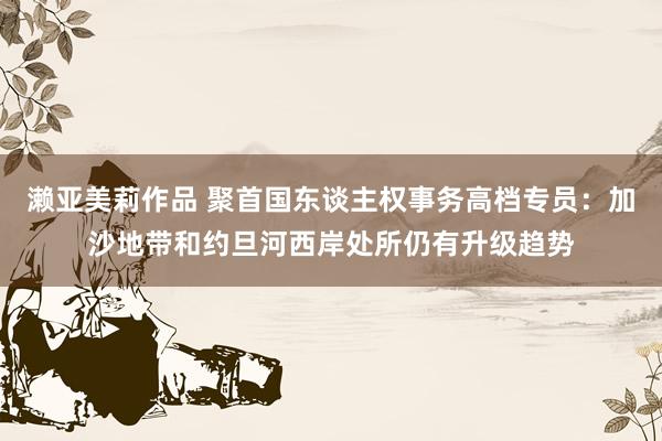 濑亚美莉作品 聚首国东谈主权事务高档专员：加沙地带和约旦河西岸处所仍有升级趋势