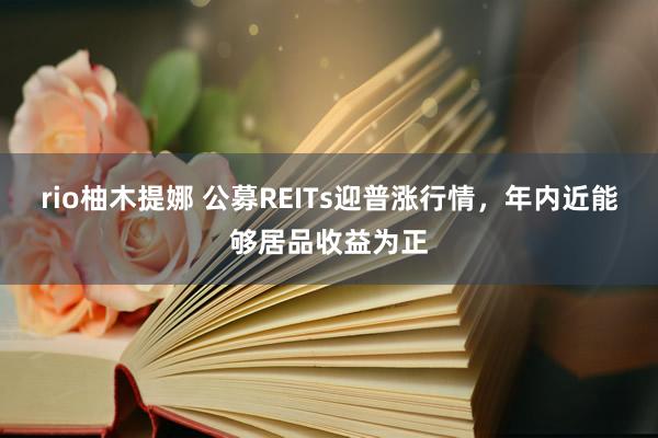 rio柚木提娜 公募REITs迎普涨行情，年内近能够居品收益为正