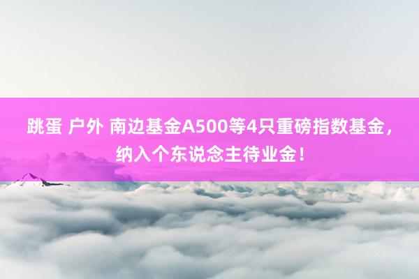 跳蛋 户外 南边基金A500等4只重磅指数基金，纳入个东说念主待业金！