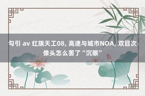 勾引 av 红旗天工08， 高速与城市NOA， 双目次像头怎么罢了“沉眼”