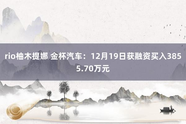 rio柚木提娜 金杯汽车：12月19日获融资买入3855.70万元