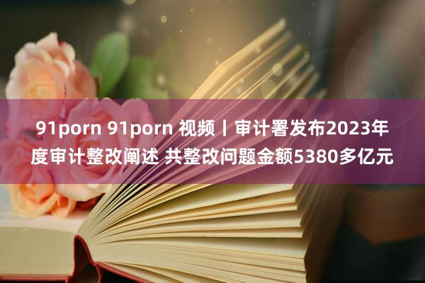 91porn 91porn 视频丨审计署发布2023年度审计整改阐述 共整改问题金额5380多亿元